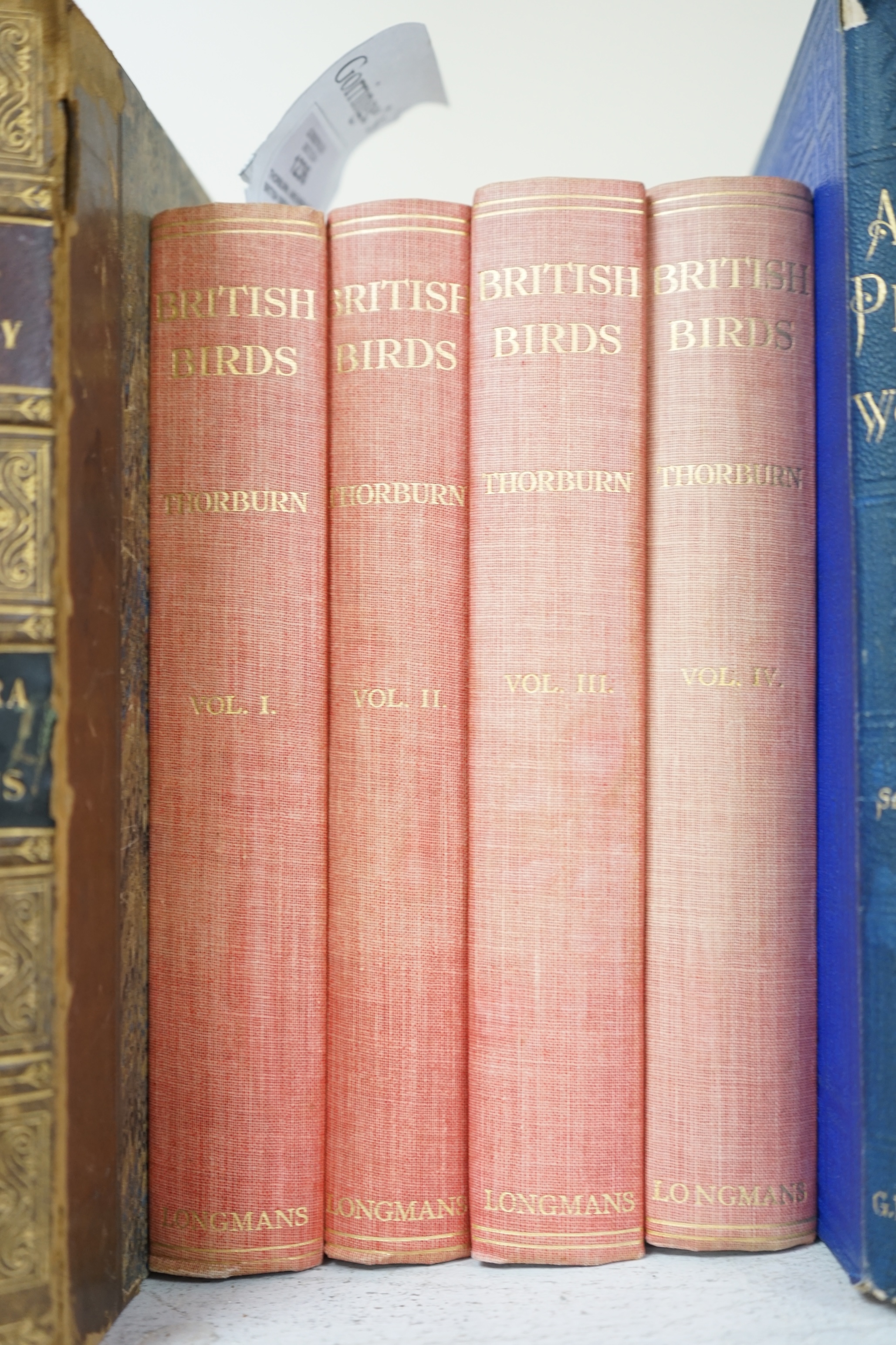 Thorburn, Archibald - British Birds, new edition (revised), 4 vols. 192 coloured plates; original gilt-lettered cloth, cr. 8vo. 1925-26